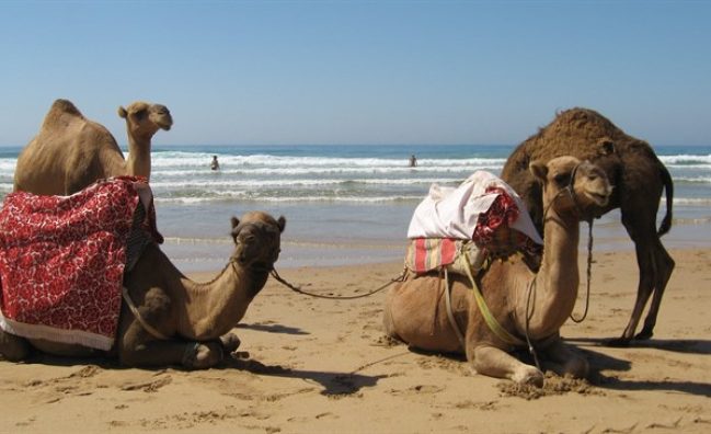 Viajes a Asilah 3 días – Salidas diarias