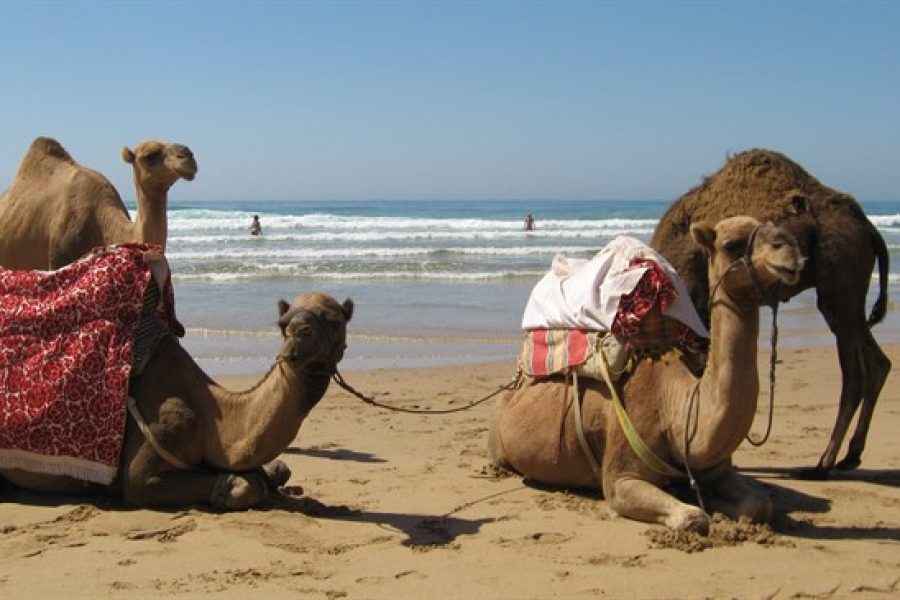 Viajes a Asilah 3 días – Salidas diarias