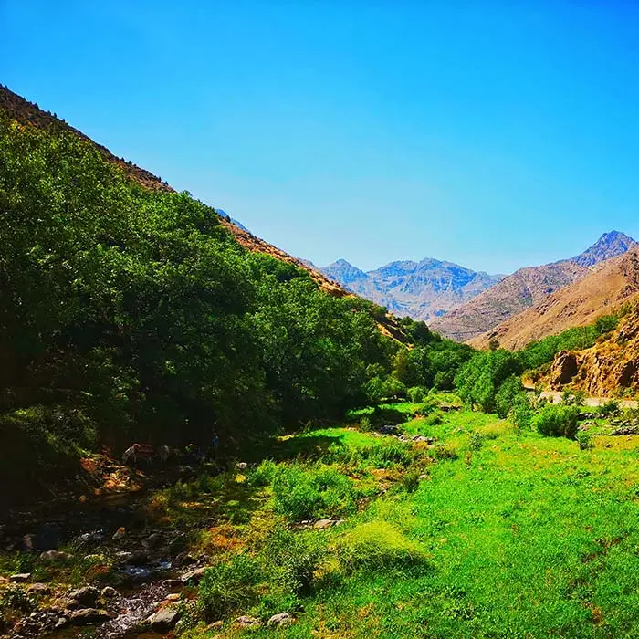 Parque del Toubkal