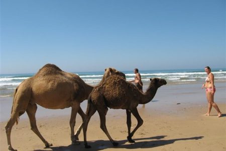 Asilah y Chefchaouen – 4 días en Riads