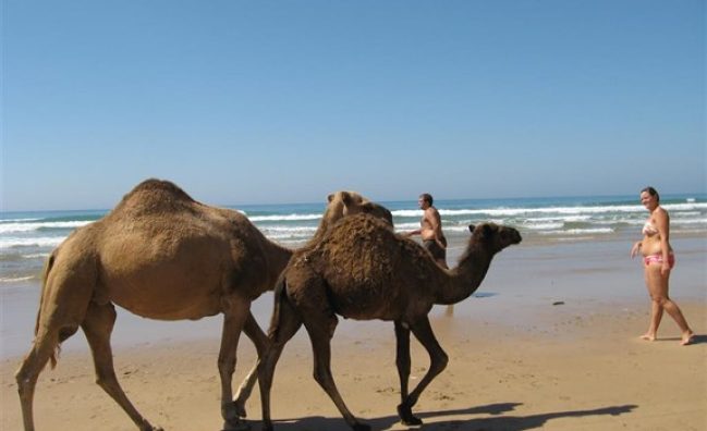 Asilah y Chefchaouen – 4 días en Riads