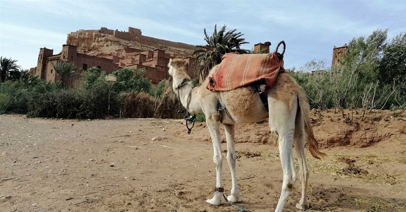 Ait Ben Haddou