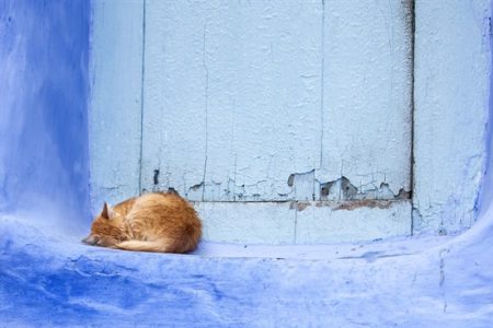 Chefchaouen – 3 días – Riad Asilah