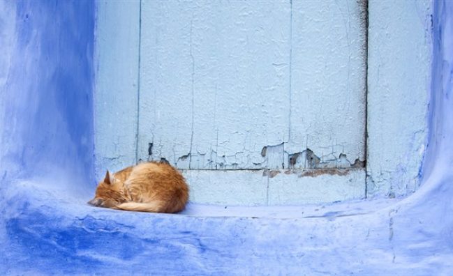 Chefchaouen – 3 días – Riad Asilah