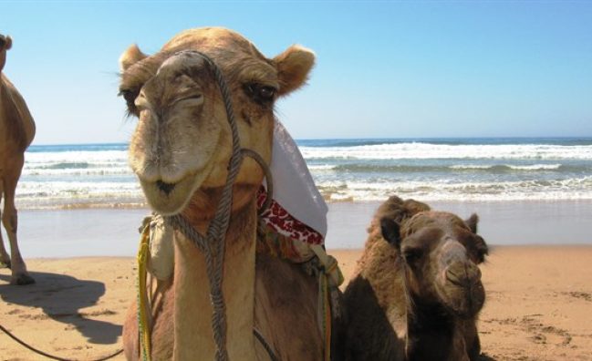 Tánger y Asilah en Riads – 3 días desde Tarifa