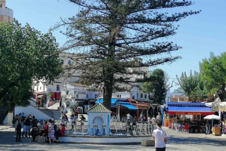 Viaje a Asilah y Chefchaouen – 3 días en Riads